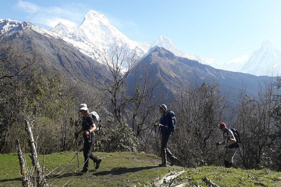 Covid-19 Protocols for Trekking in Nepal