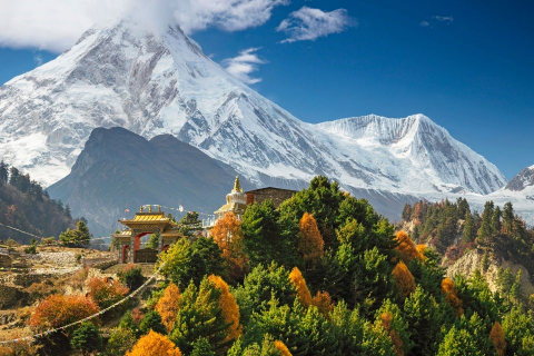 Trek In Nepal