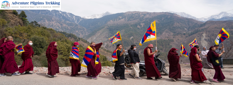 Tibet Festivals