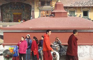 Lhasa City Cultural Tour