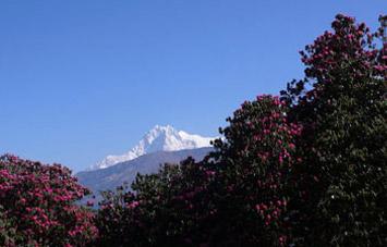 Khayar Lake Trekking (Khopra Danda / Rhododendron Trek) in Annapurna