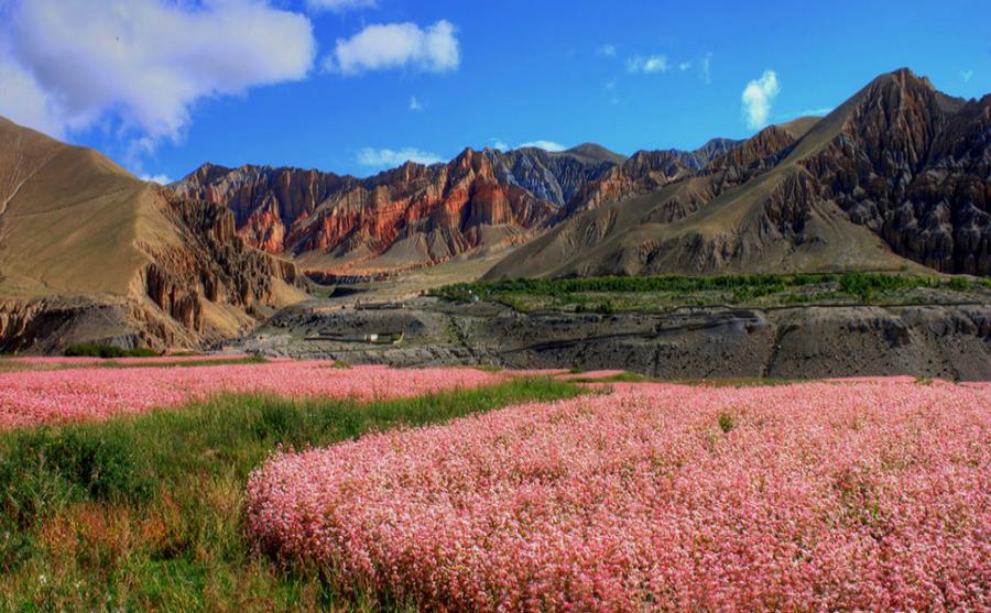 Upper Mustang Trekking