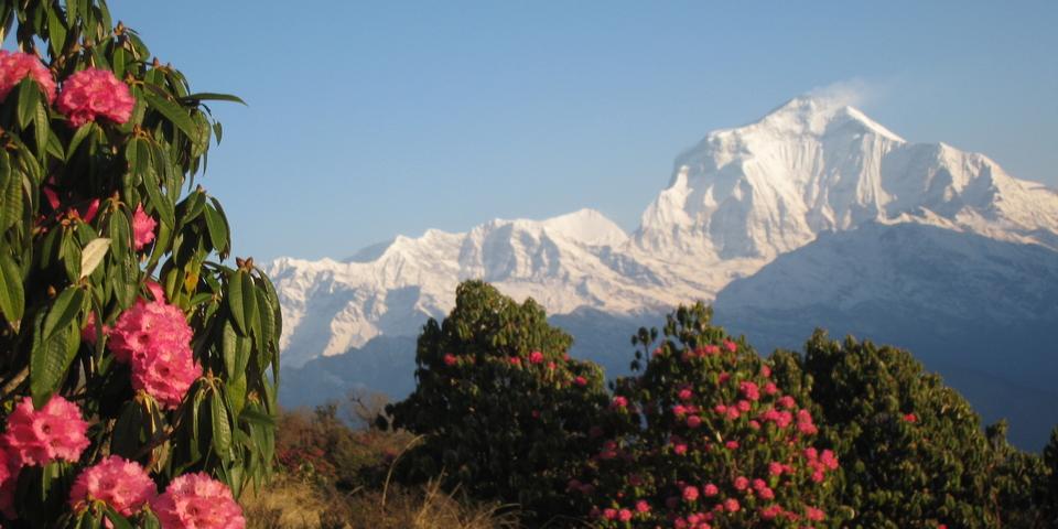 Annapurna ( Sanctuary ) Base Camp Trekking