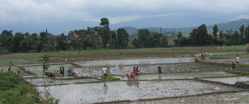 Agricultural Tour in Nepal