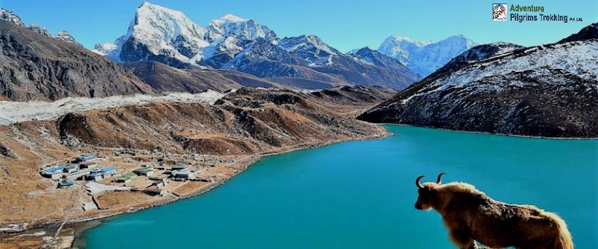 Gokyo lake